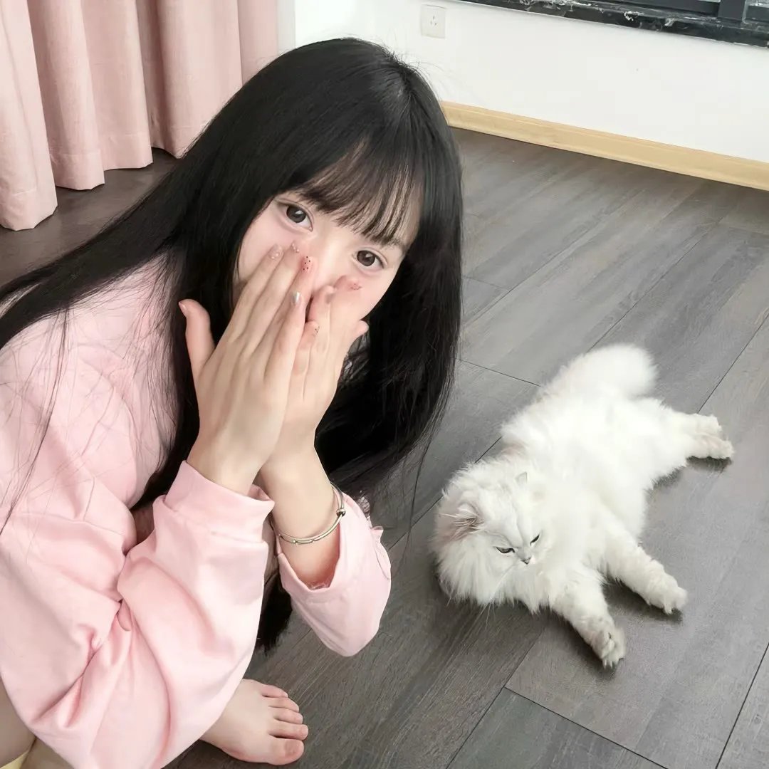 机器肉鸡第六季